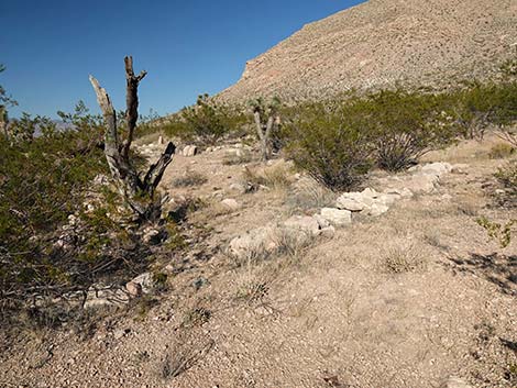 Uranium Mine