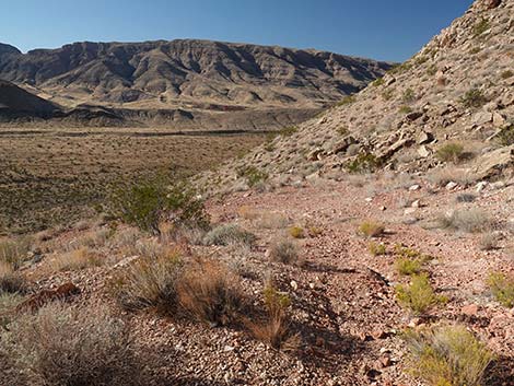 Uranium Mine