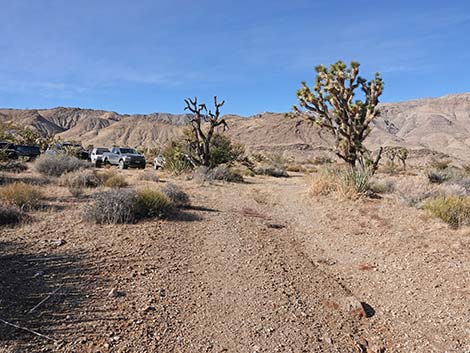 Uranium Mine