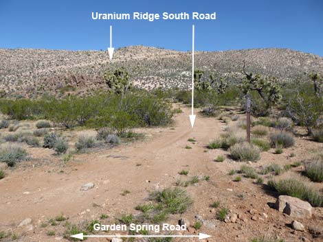 Uranium Ridge