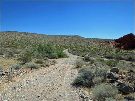 Whitney Pocket Overlook Trail