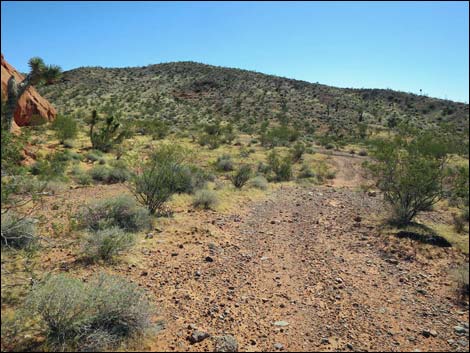 Whitney Pocket Overlook Trail