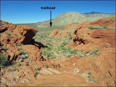 Whitney Pocket Overlook Trail