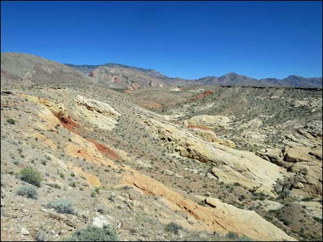 Whitney Pocket Overlook Trail