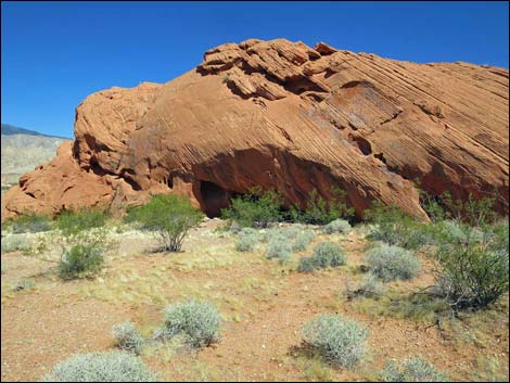 Whitney Pocket Overlook Trail