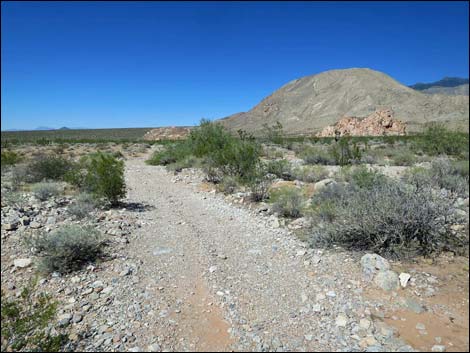 Whitney Pocket Overlook Trail