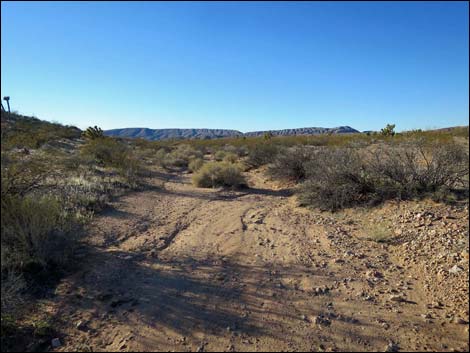 Wechech Basin Loop