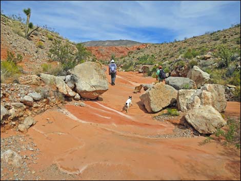 Whitney Wash