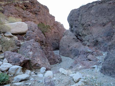 Arizona Hot Spring