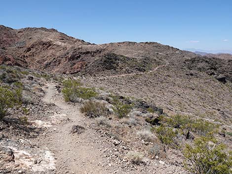 Black Mountain Overlook Trail