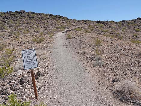 Black Mountain Overlook Trail