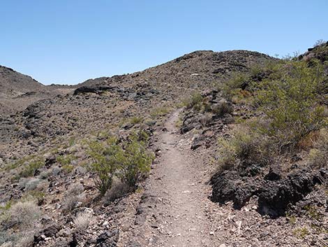 Black Mountain Overlook Trail