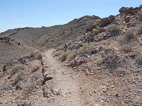 Black Mountain Overlook Trail