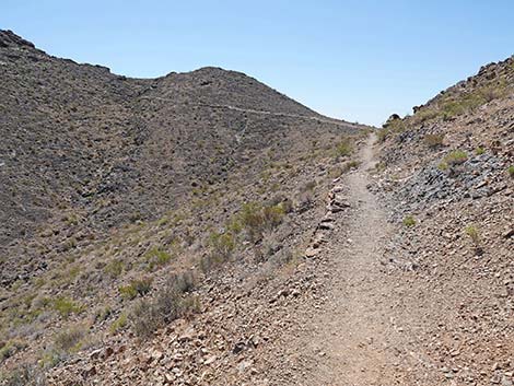 Black Mountain Overlook Trail