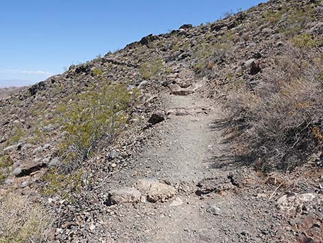 Black Mountain Overlook Trail