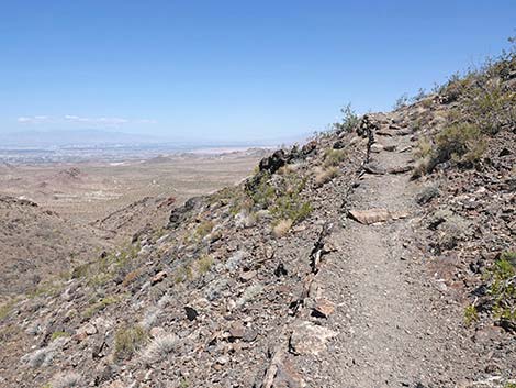 Black Mountain Overlook Trail