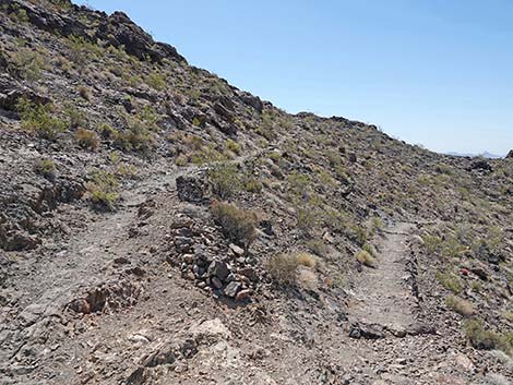 Black Mountain Overlook Trail