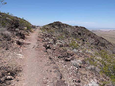 Black Mountain Overlook Trail