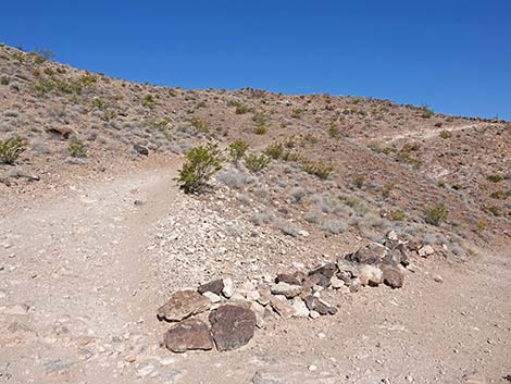 Red Mountain Overlook Trail