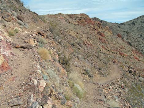 River Mountain "Foot" Trail