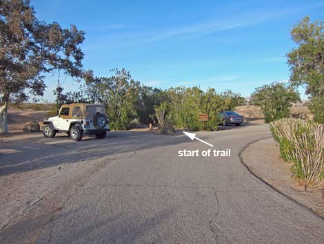 Bluff Trail