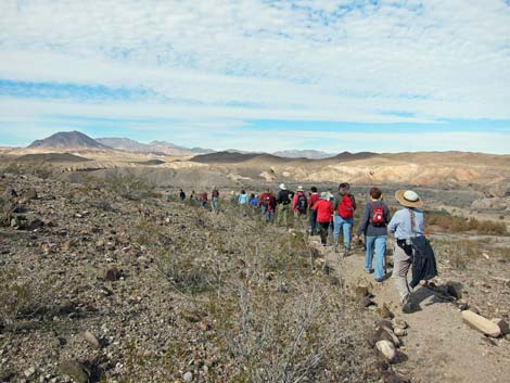 Bluff Trail