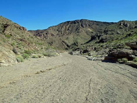 Boy Scout Canyon