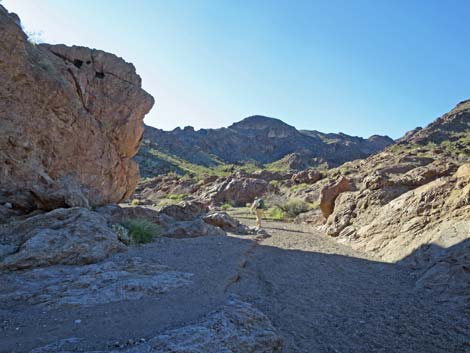 Boy Scout Canyon