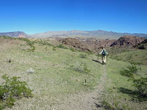 Colorado River Overlook