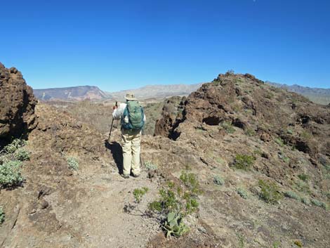 Colorado River Overlook