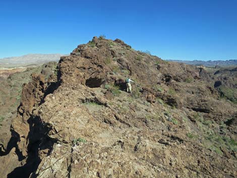 Colorado River Overlook