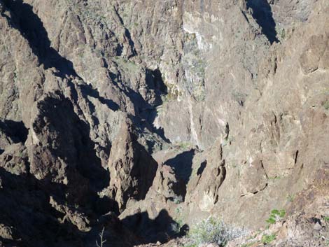 Colorado River Overlook