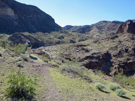 Colorado River Overlook