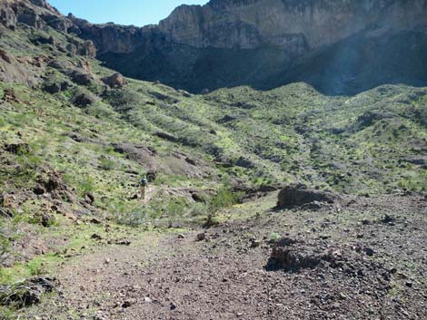 Colorado River Overlook