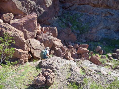 Colorado River Overlook