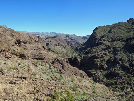 Colorado River Overlook