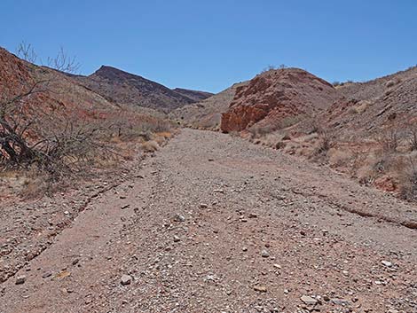 Cottonwood Spring