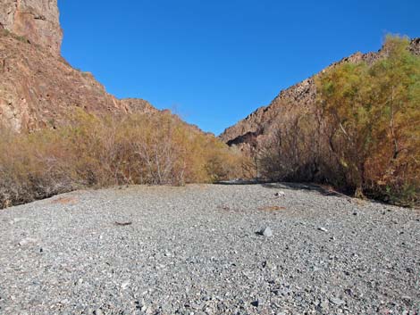 Cranes Nest Canyon