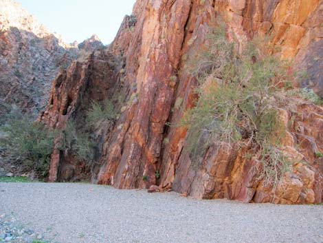 Cranes Nest Canyon