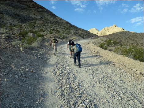 Frenchman Mountain