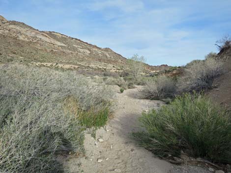 Grapevine Canyon