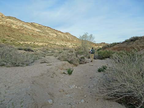 Grapevine Canyon