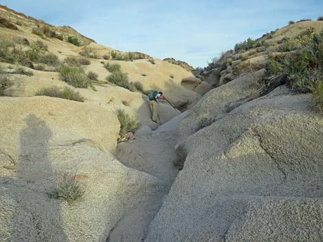 Grapevine Canyon