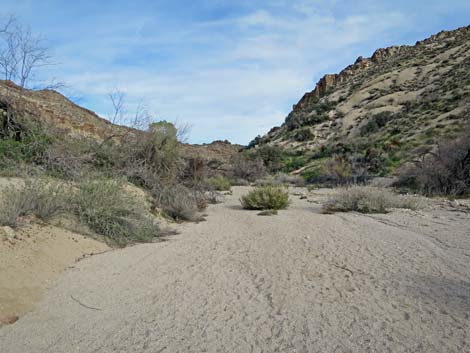 Grapevine Canyon