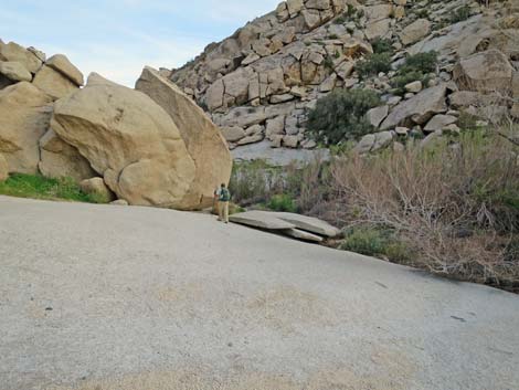 Grapevine Canyon