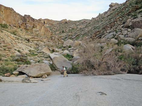 Grapevine Canyon