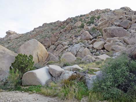 Grapevine Canyon