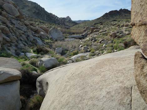 Grapevine Canyon