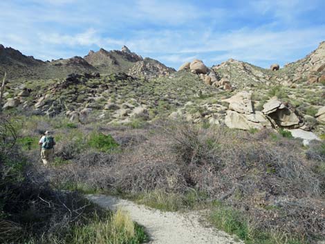 Grapevine Canyon