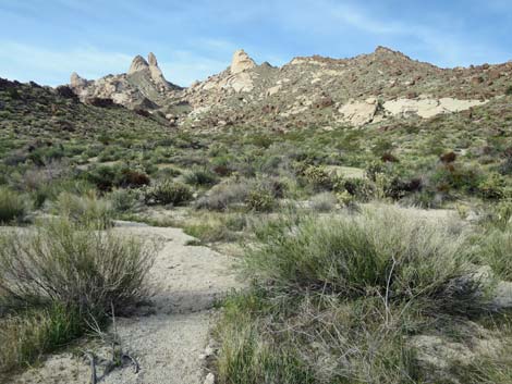 Grapevine Canyon